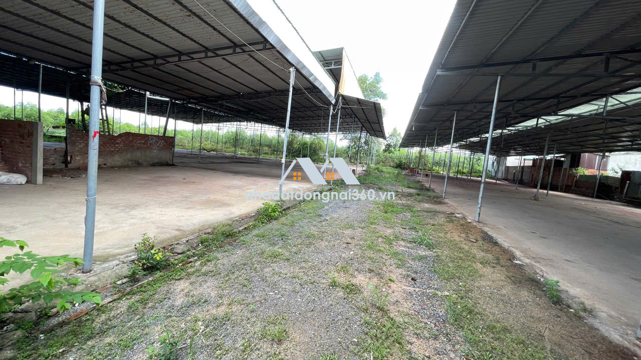 CHO THUÊ XƯỞNG 1,2HECTA KHU VỰC LỘC AN LONG THÀNH, ĐỒNG NAI. GIÁ CHỈ 50 TRIỆU