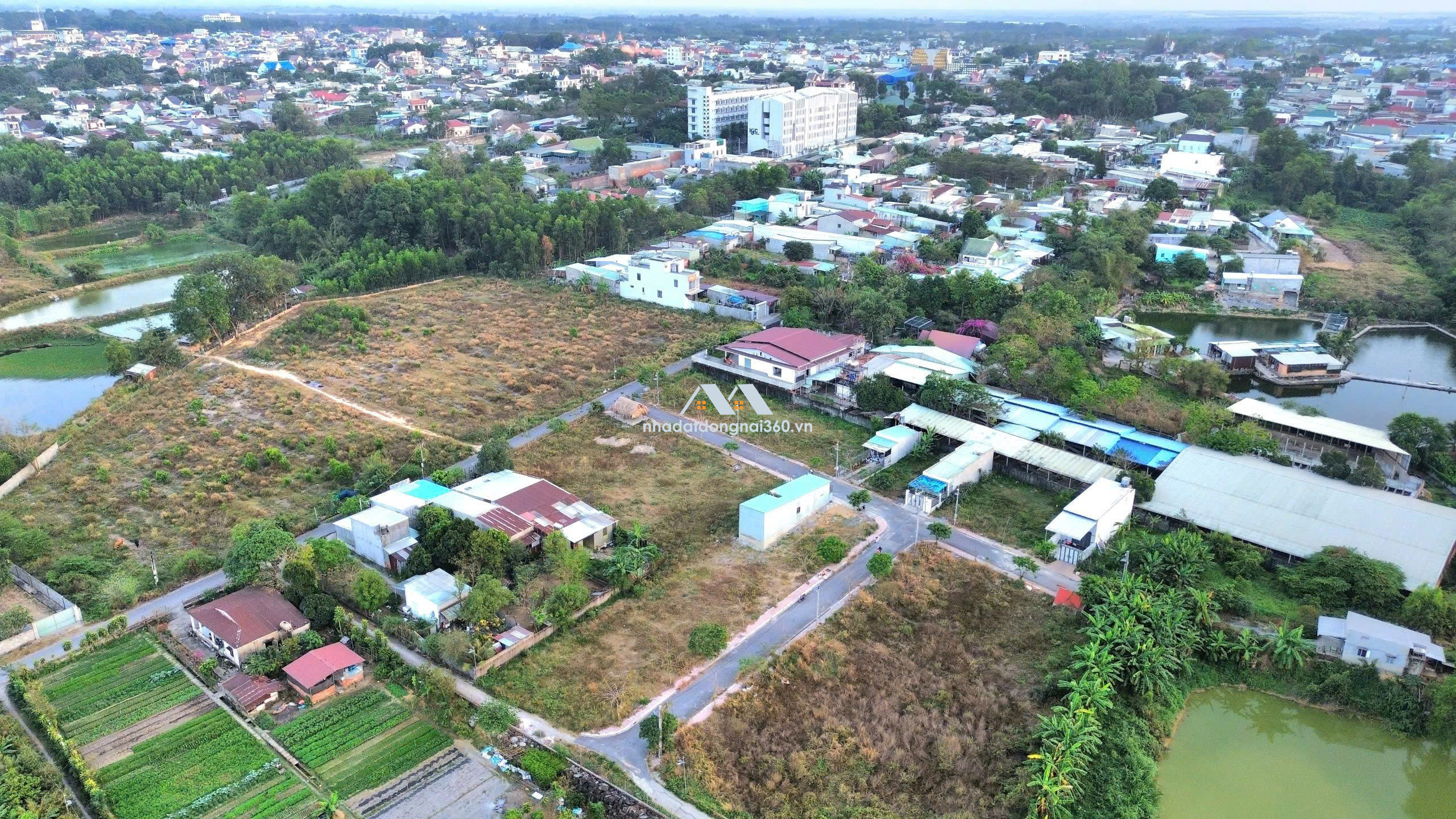 🌟 CHUYỂN NHƯỢNG lô đất 117,9m² tại xã Trảng Bom, Đồng Nai, chỉ 950 triệu!