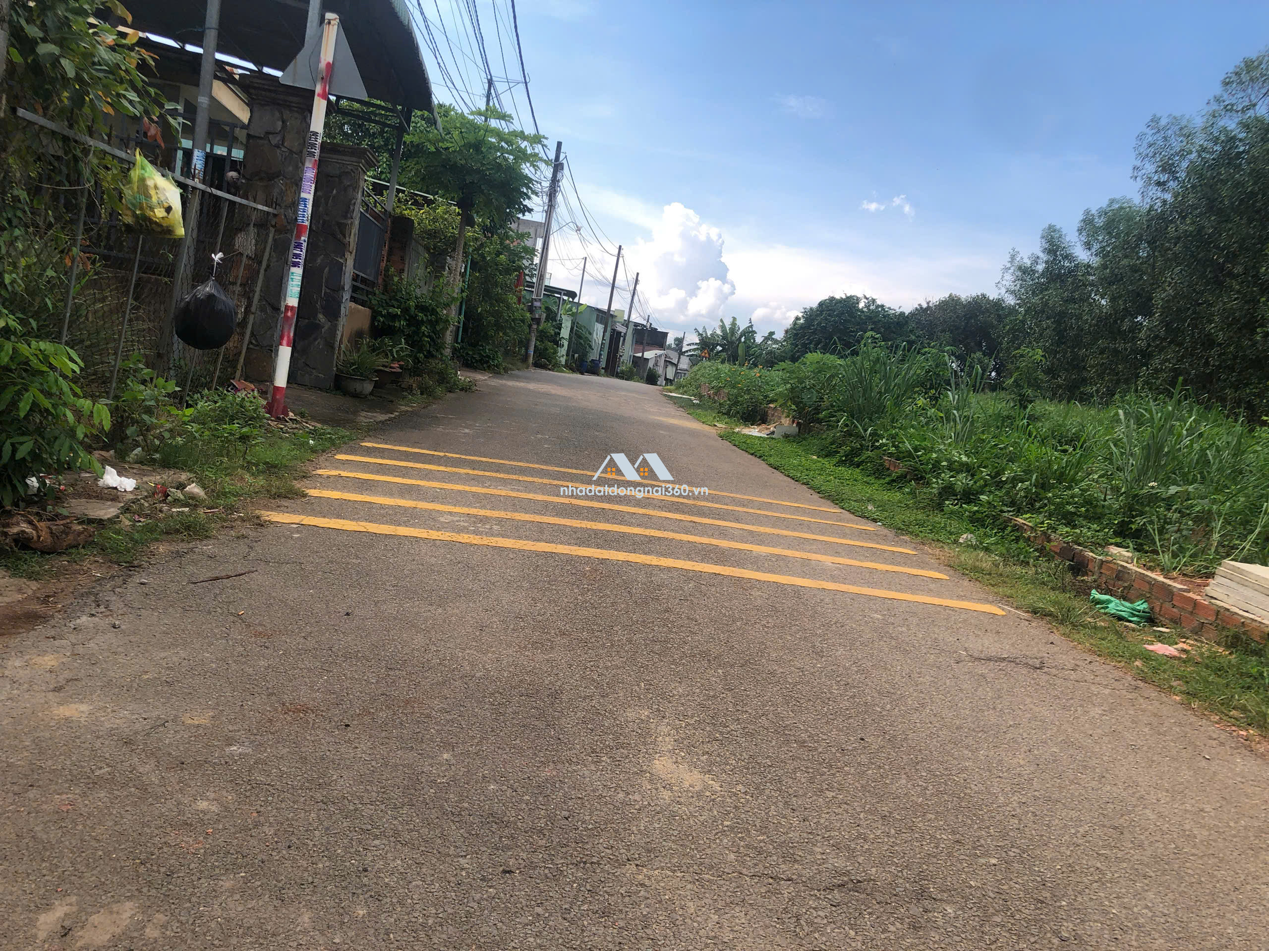 Bán lô đất đẹp – xã An Viễn (sáp nhập xã Đồi 61 và xã An Viễn), tỉnh Đồng Nai 💥