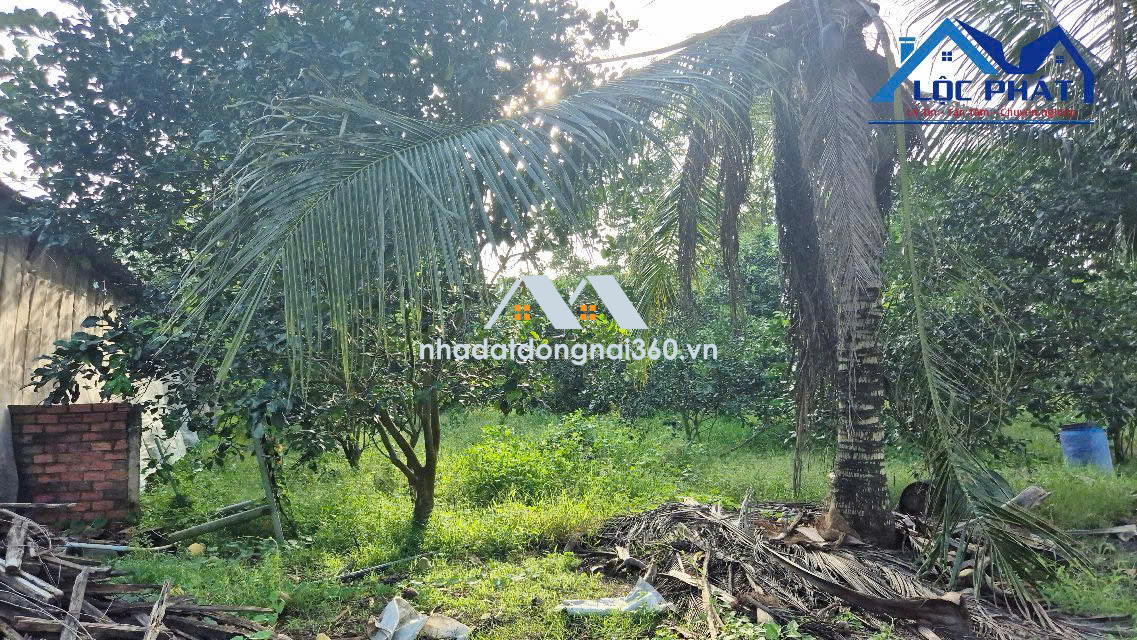 Bán đất 1,4ha tại Trảng Bom Đồng Nai giá chỉ 13 tỷ