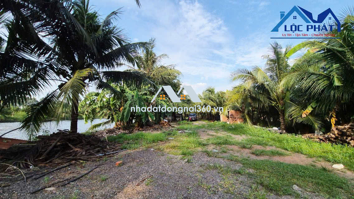 Bán đất 1,4ha tại Trảng Bom Đồng Nai giá chỉ 13 tỷ