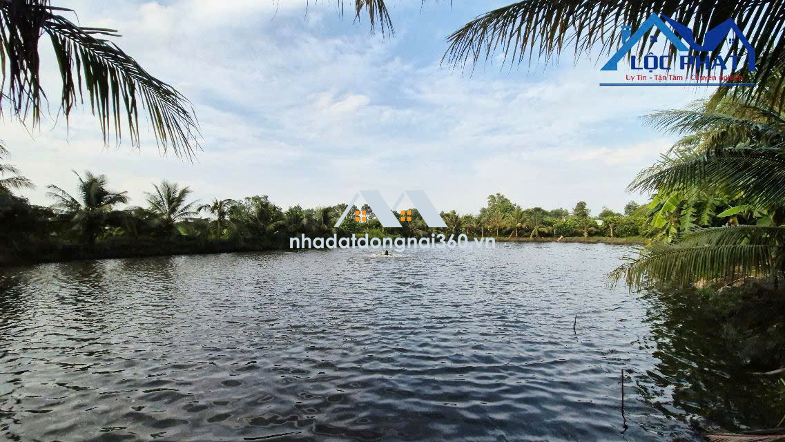 Bán đất 1,4ha tại Trảng Bom Đồng Nai giá chỉ 13 tỷ