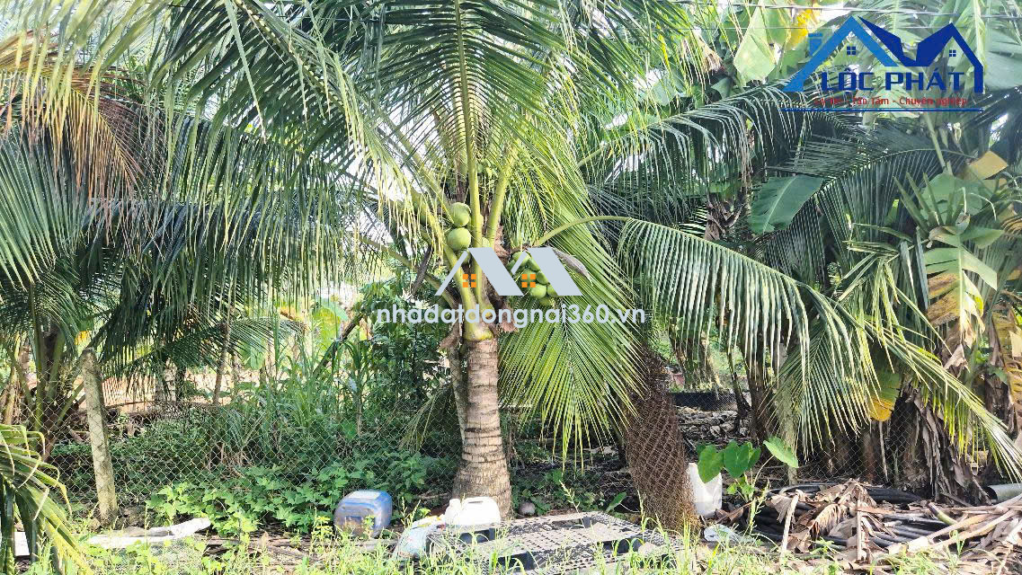 Bán đất tại Đường Nguyễn Hoàng, Xã Sông Trầu, Huyện Trảng Bom, Đồng Nai giá 13 tỷ