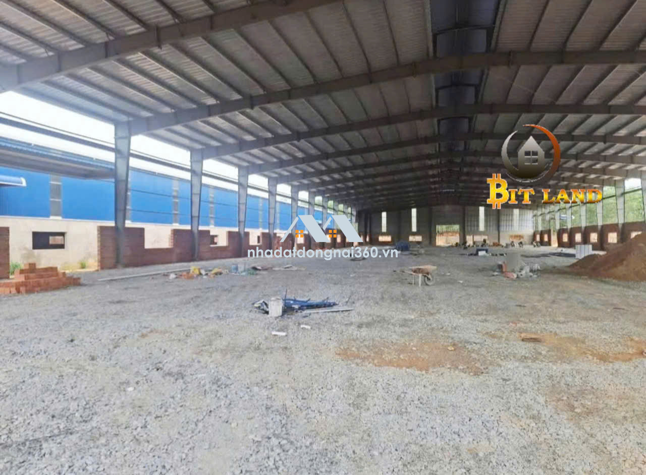 Cho thuê xưởng 3000m2 đường xe container Đồng Nai giá có 45k