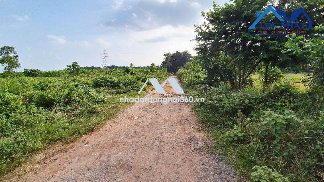 BÁN ĐẤT SKC TIỀM NĂNG TẠI LONG AN – LONG THÀNH giá 60 tỷ
