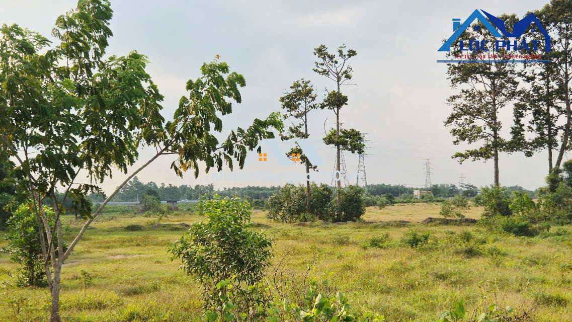 Bán đất tại Đường Quốc lộ 51, Xã Long An, Huyện Long Thành, Đồng Nai giá 60 tỷ
