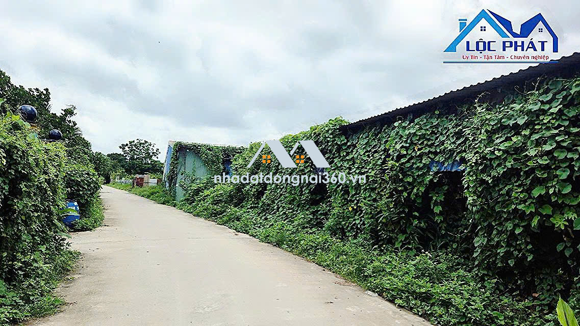 Bán đất tại Đường Phạm Văn Diêu, Phường Tân Hạnh, Biên Hòa, Đồng Nai giá 32 tỷ 900 triệu