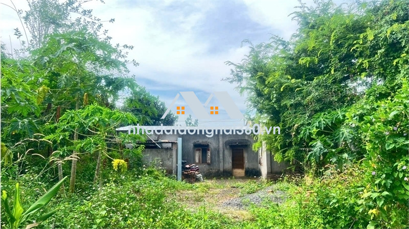 bán quỹ đất đẹp có sẵn nhà cấp 4, không khí khu vực trong lành, dân cư ở kín