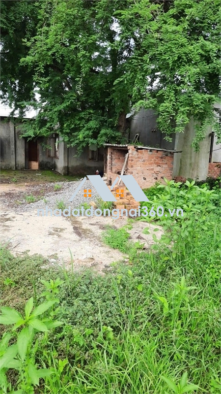 bán đất tặng nhà cấp 4 cũ, không khí trong lành, gần đạp thủy điện trị an