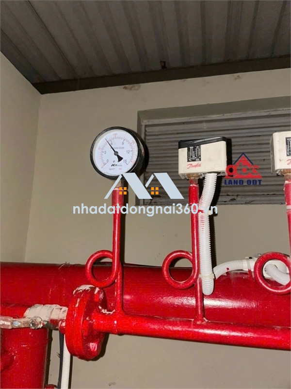 XT469 cho thuê nhà xưởng kiên cố ngành nghề SX đa dạng, dân cư đông đúc, trống xưởng