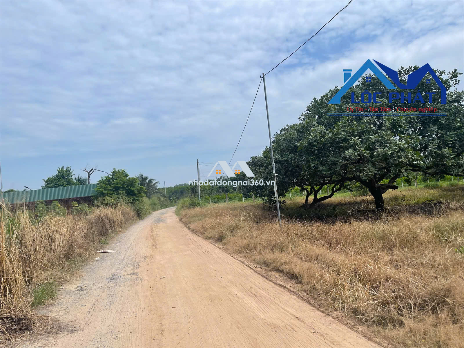 Bán đất tại Đường An Viễn, Xã An Viễn, Huyện Trảng Bom, Đồng Nai giá 29 tỷ  500 triệu
