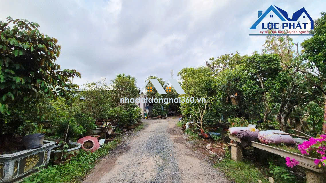 Bán đất mặt tiền đường QL51-Long Thành 3000m2 giá 15 triệu/m2