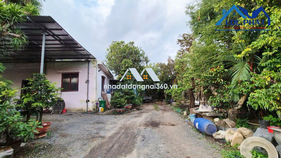 Bán đất mặt tiền đường QL51-Long Thành 3000m2 giá 15 triệu/m2