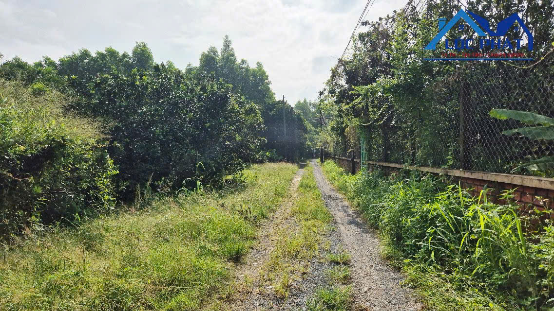 Bán đất xã Bình Lợi Huyện Vĩnh Cửu Đồng Nai 3700m2 giá chỉ 6,5 tỷ.