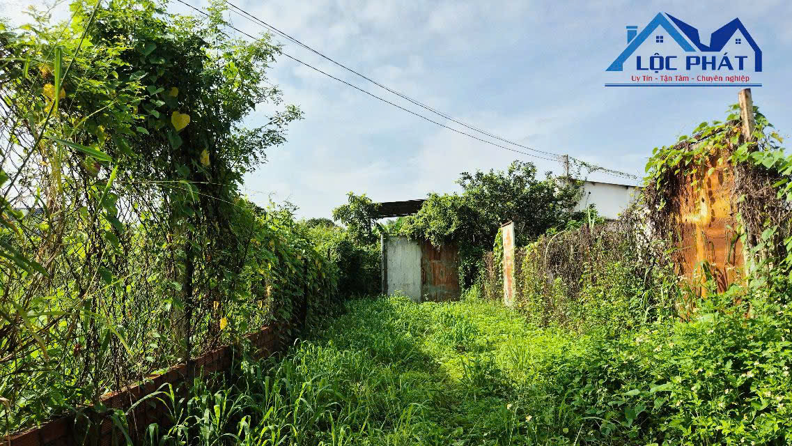Bán đất tại Phường Tân Triều, Đồng Nai giá 6 tỷ 500 triệu