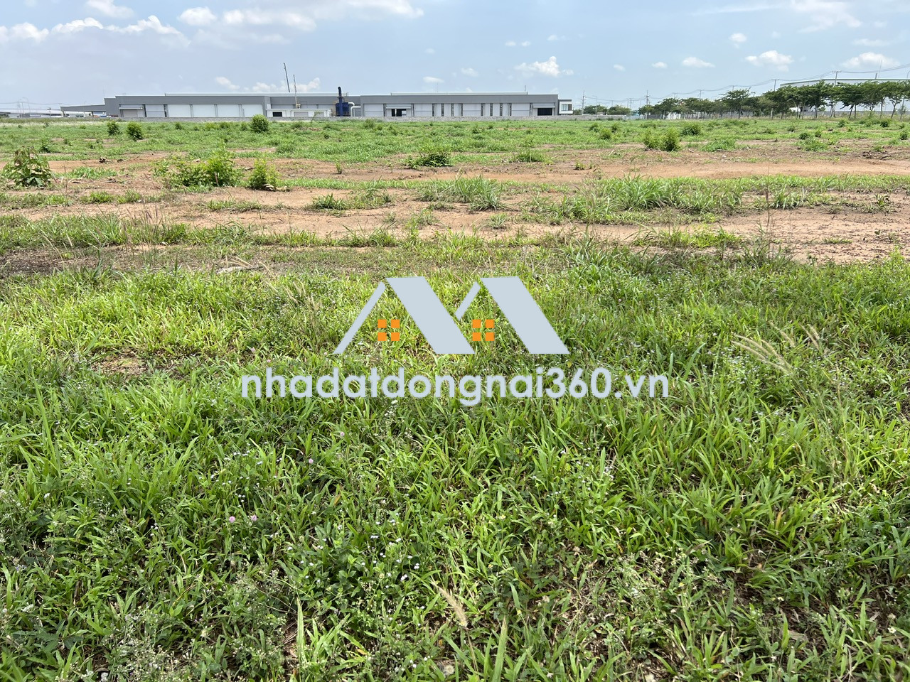 Bán đất xây dựng xưởng SKK 10.000m2 giá chỉ 45 tỷ. KCN Trảng Bom-Đồng Nai