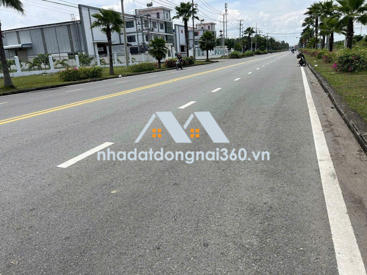 Cho thuê xưởng giá rẻ chỉ 230 triệu 3.500m2. Trảng Dài-Biên Hòa-Đồng Nai