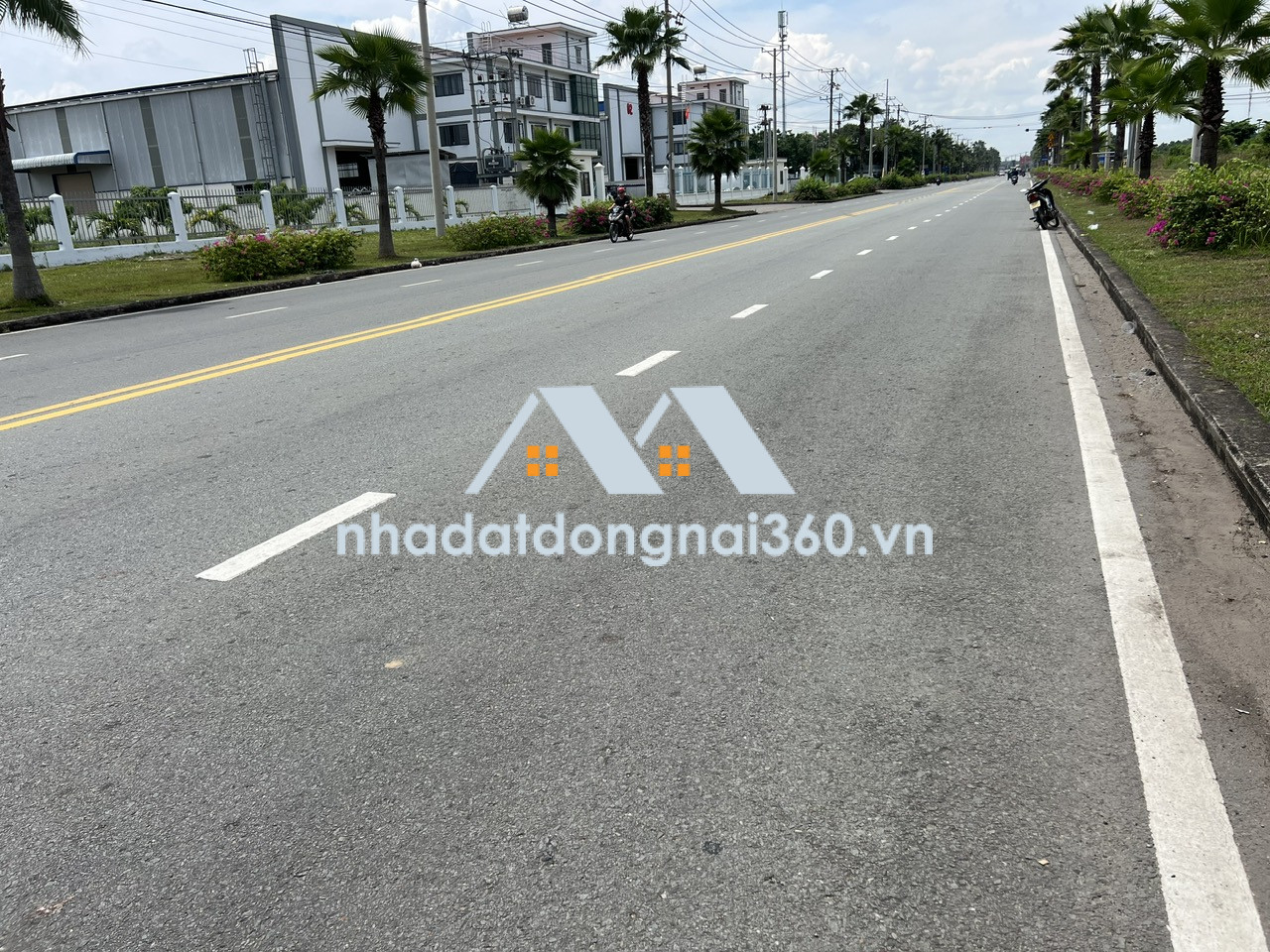 Bán đất (SKK) xây dựng xưởng 31.001m2 giá chỉ 179 usd/m2. KCN Trảng Bom-Đồng Nai