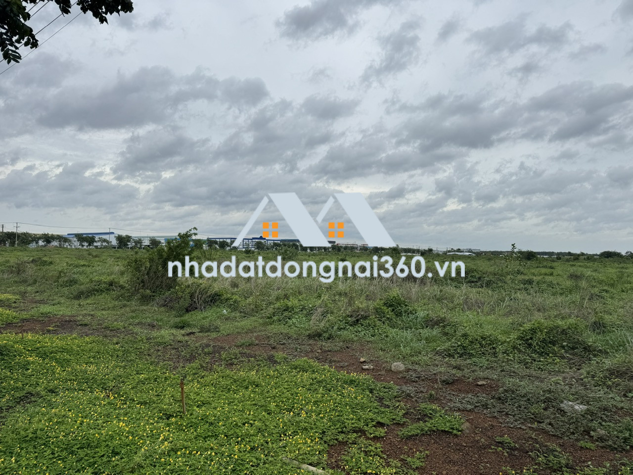 Bán đất (SKK) xây dựng xưởng 31.001m2 giá chỉ 179 usd/m2. KCN Trảng Bom-Đồng Nai