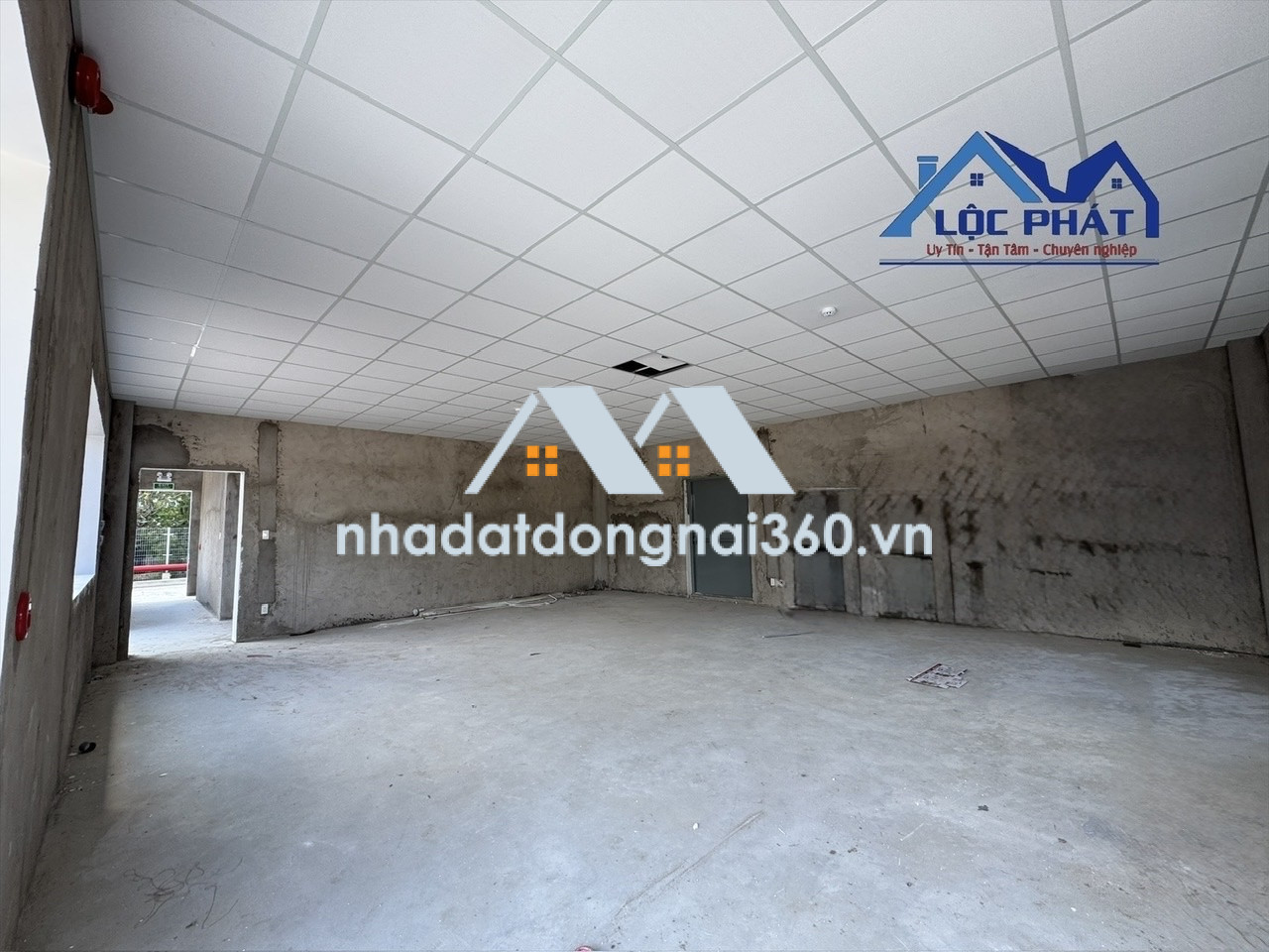 Cho thuê Nhà xưởng kcn Nhơn Trạch 13.418 m2 và 12.234 m2 chỉ 4,9 usd/m2