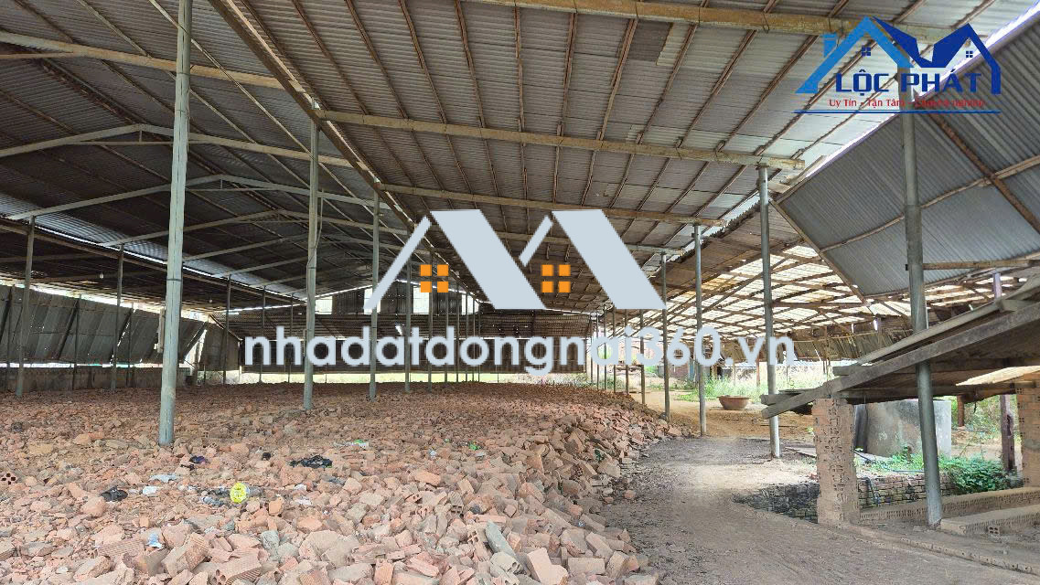 Bán đất tặng nhà Xưởng tại Phường Long Hưng dt 4500m2 giá 63 tỷ