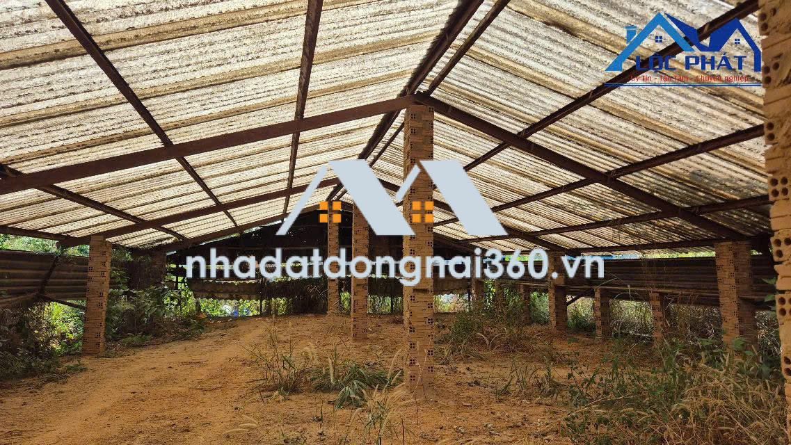 Bán đất tặng nhà Xưởng tại Phường Long Hưng dt 4500m2 giá 63 tỷ