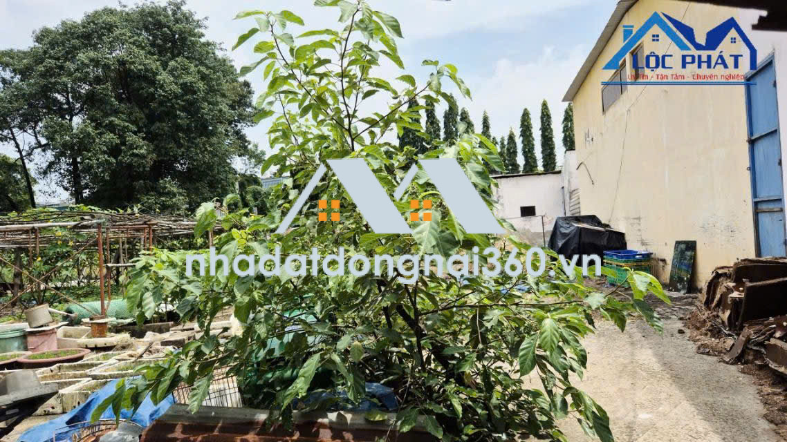 Bán đất 2 mặt tiền đường tại Phường Long Hưng Đồng Nai