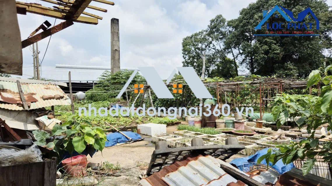 Bán đất 2 mặt tiền đường tại Phường Long Hưng Đồng Nai