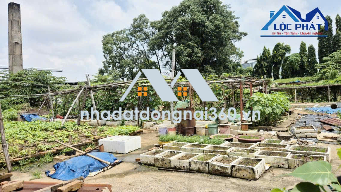 Bán kho, nhà xưởng tại Phường Long Hưng, Đồng Nai giá 32 tỷ