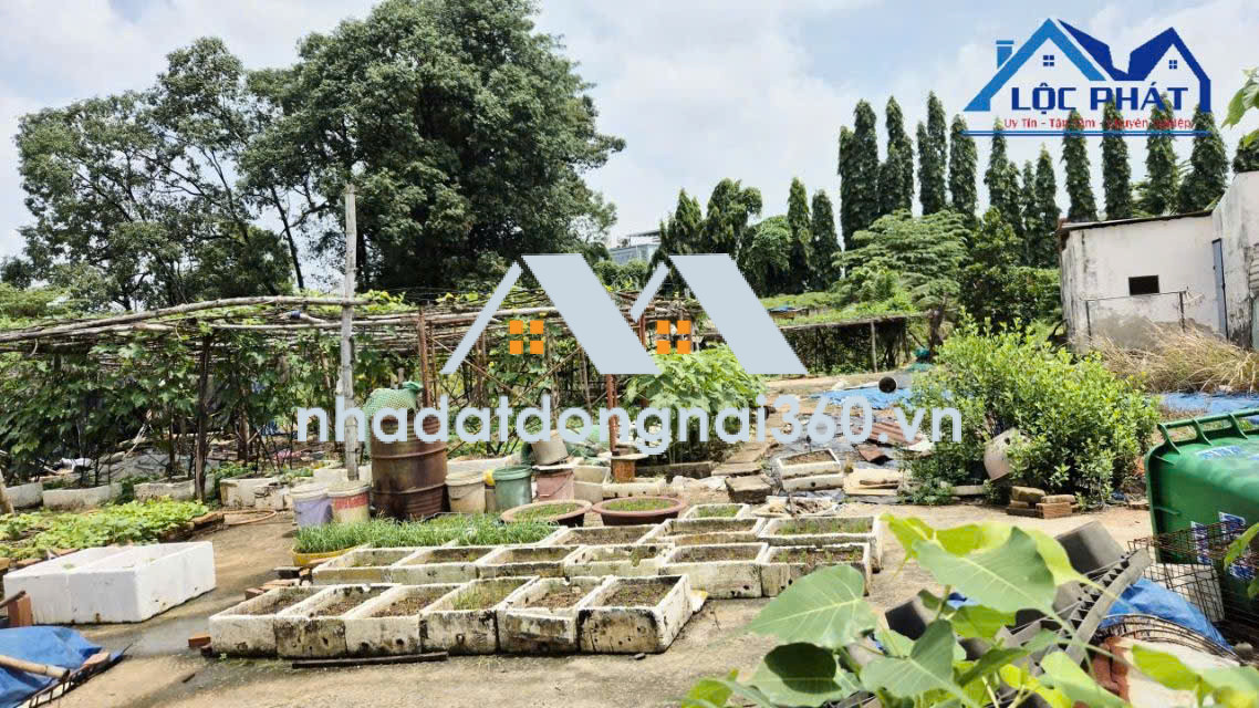 Bán kho, nhà xưởng tại Phường Long Hưng, Đồng Nai giá 32 tỷ