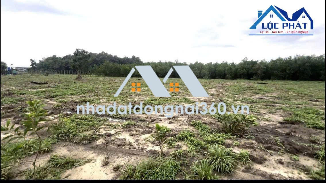 Cần bán lô đất gần Cổng trước sân bay Long Thành 47.000m2 giá chỉ 108 tỷ