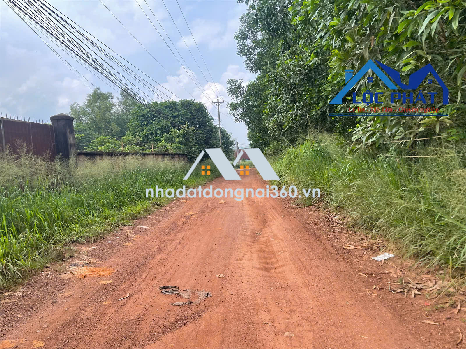 Bán đất SKC 8.000m2 xã Hố Nai 3, Trảng Bom, Đồng Nai giá 16 tỷ