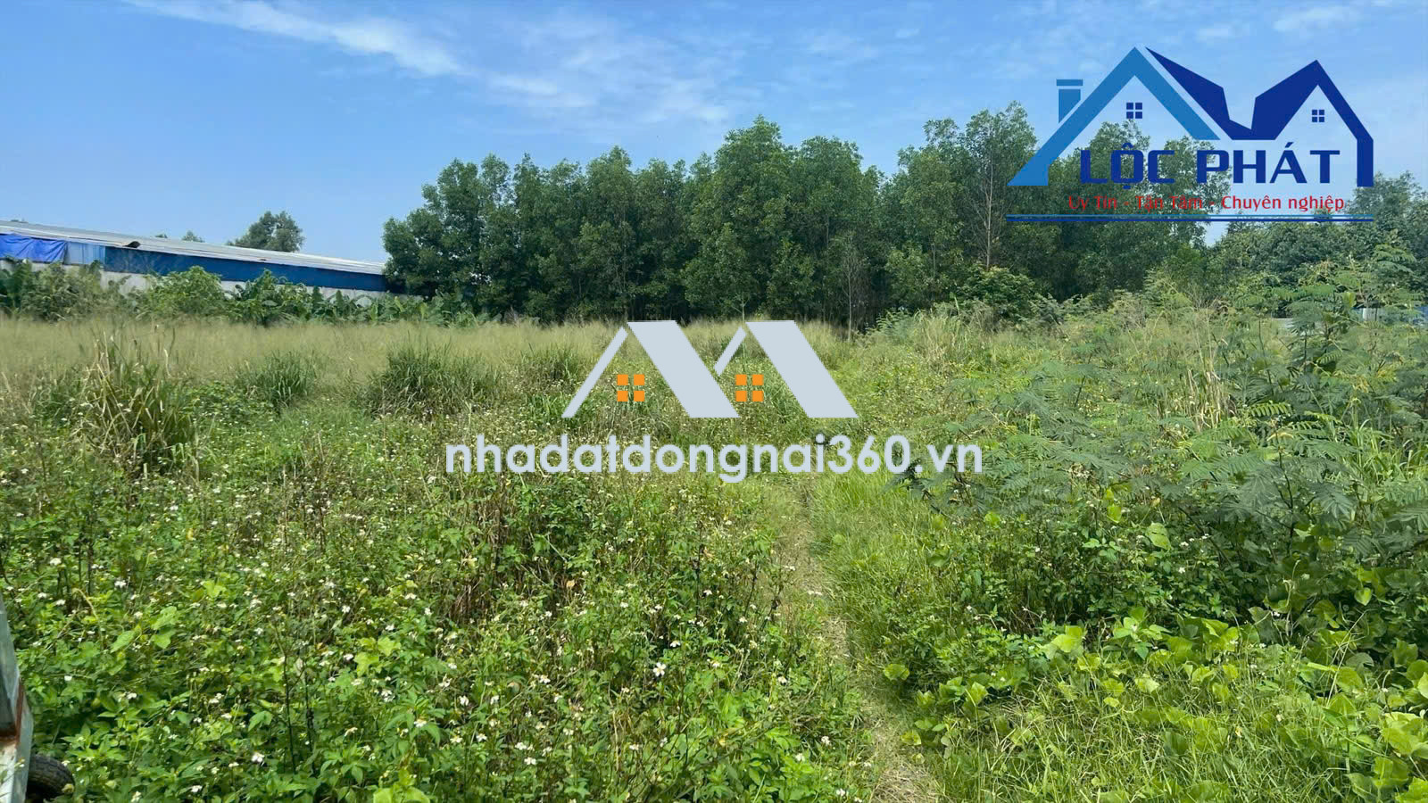 Bán kho, nhà xưởng tại Phường Trấn Biên, Đồng Nai giá 90 tỷ