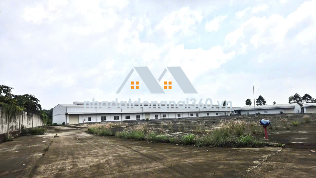 Bán nhà xưởng 40.000m2 full SKC giá rẻ chỉ 65 tỷ. Trảng Bom-Đồng Nai