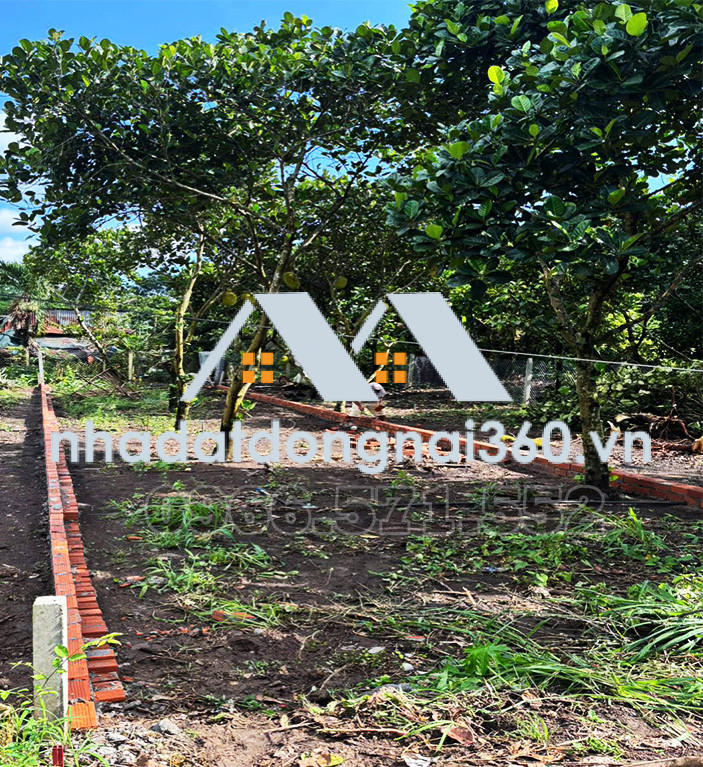 Bán Đất Thổ Cư, 1 Sẹc Đường Hàm Nghi, P Bảo Vinh, Đồng Nai, Giá Chỉ 870tr