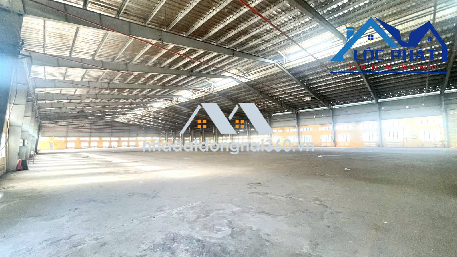 Bán nhà xưởng 37.000m2 (SKC) giá chỉ 182 tỷ. CCN Vĩnh Cửu-Đồng Nai