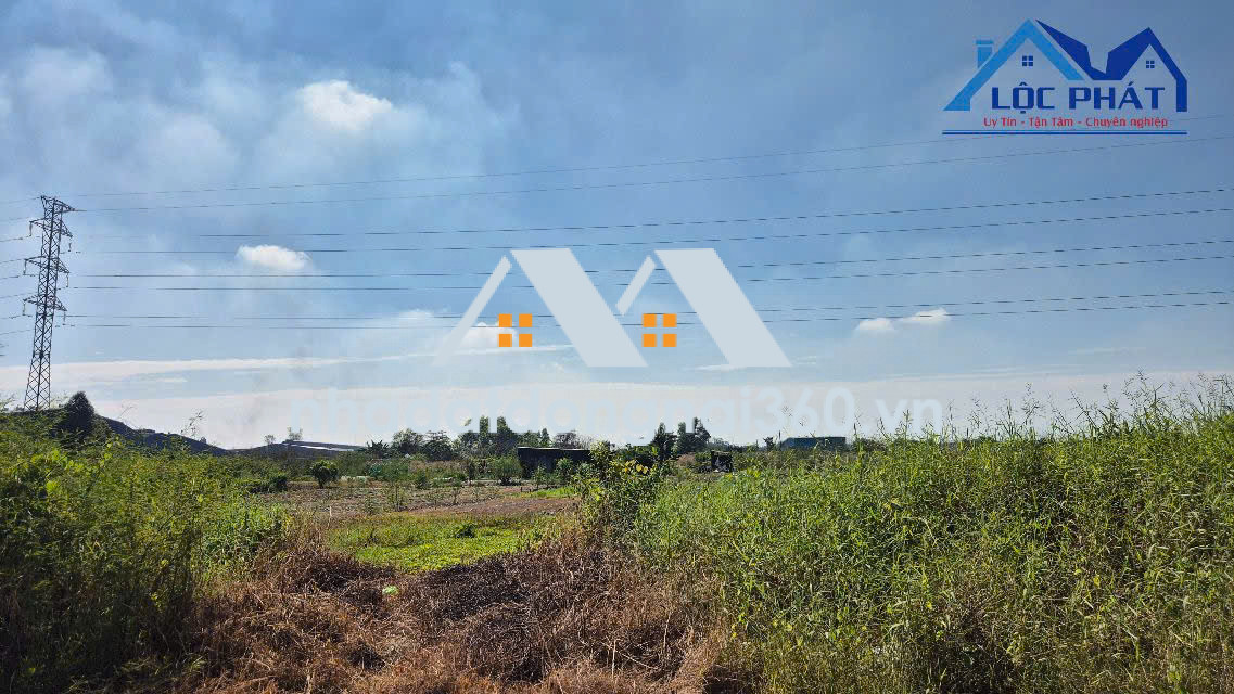 Bán đất Phường Trảng Dài Đồng Nai 2,6ha giá 37 tỷ.