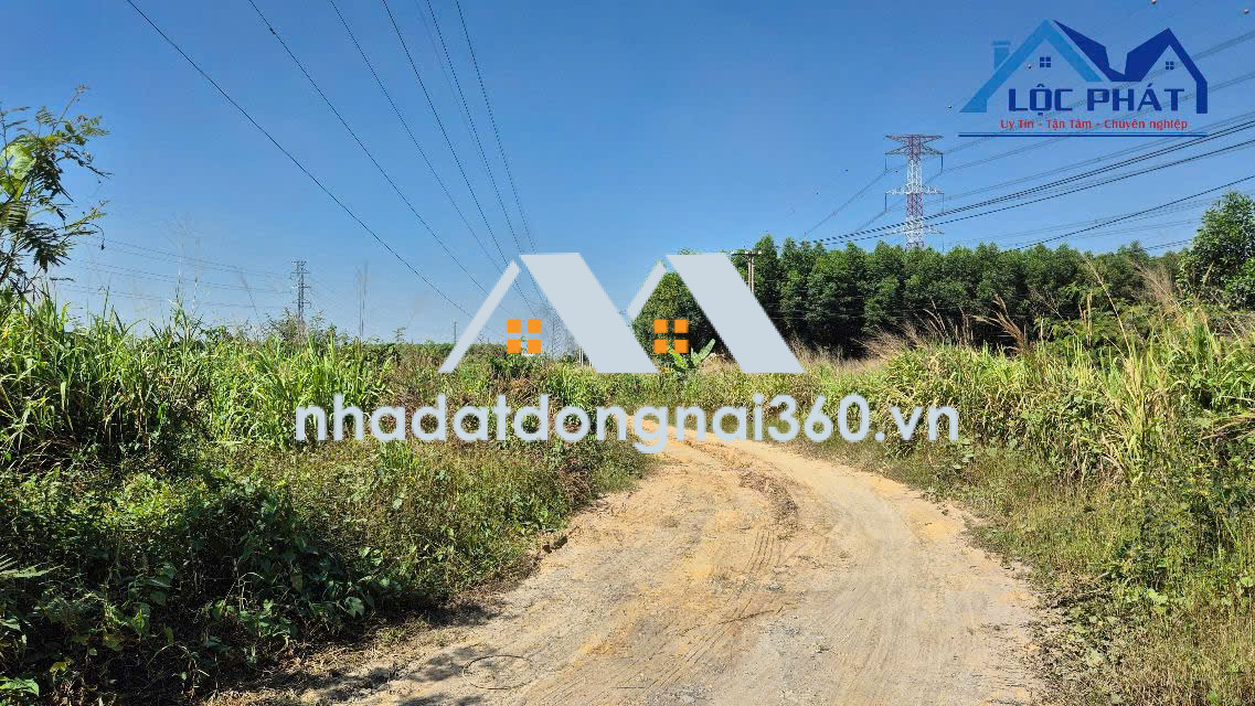 Bán đất tại Thiện Tân Phường Trảng Dài, Đồng Nai giá 37 tỷ