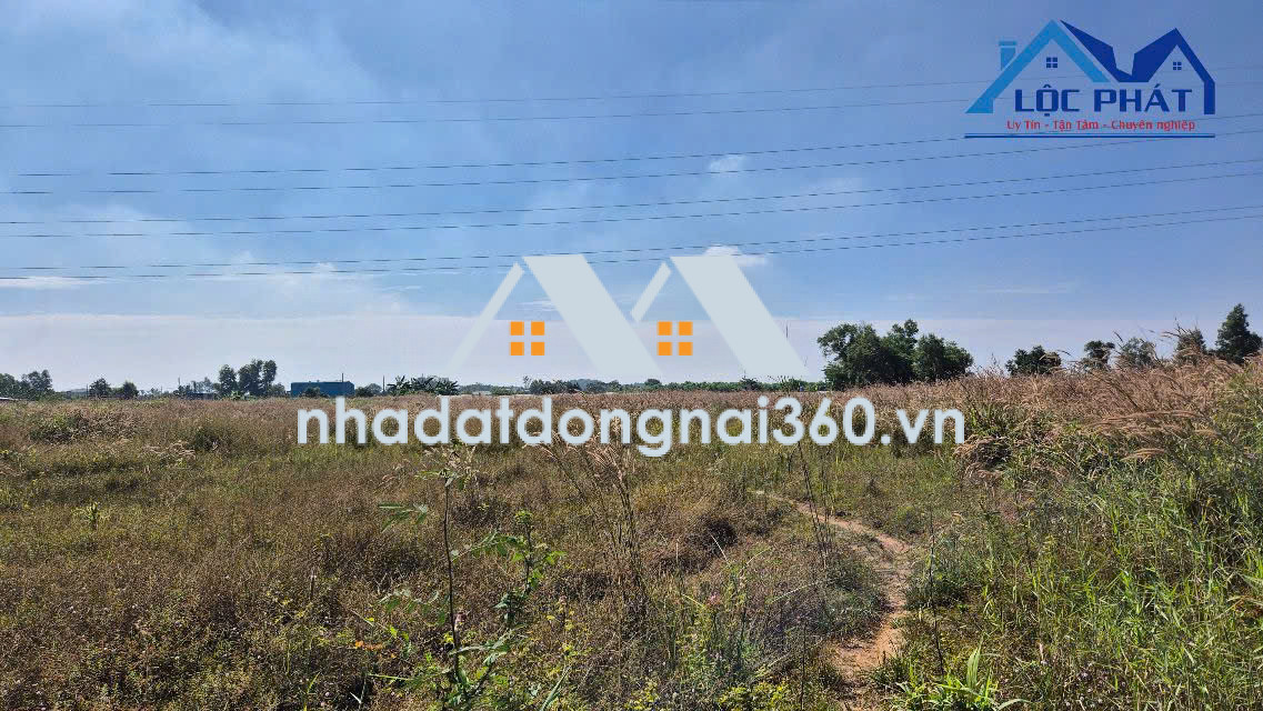 Bán đất tại Thiện Tân Phường Trảng Dài, Đồng Nai giá 37 tỷ