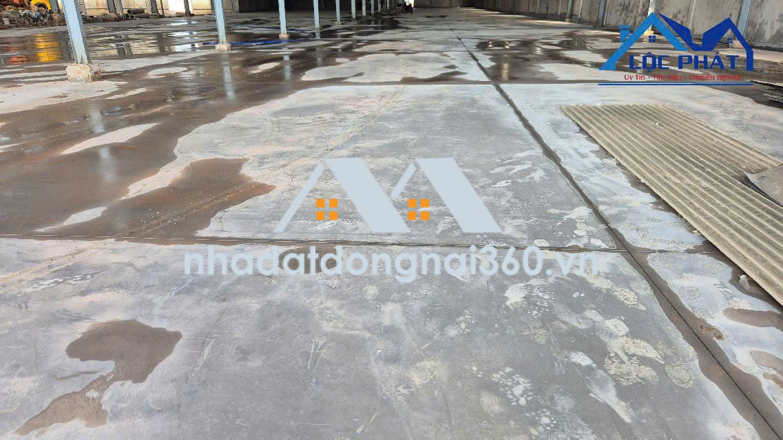 Cho thuê kho xưởng gần KCN An Phước 3000m2 150 triệu/ tháng