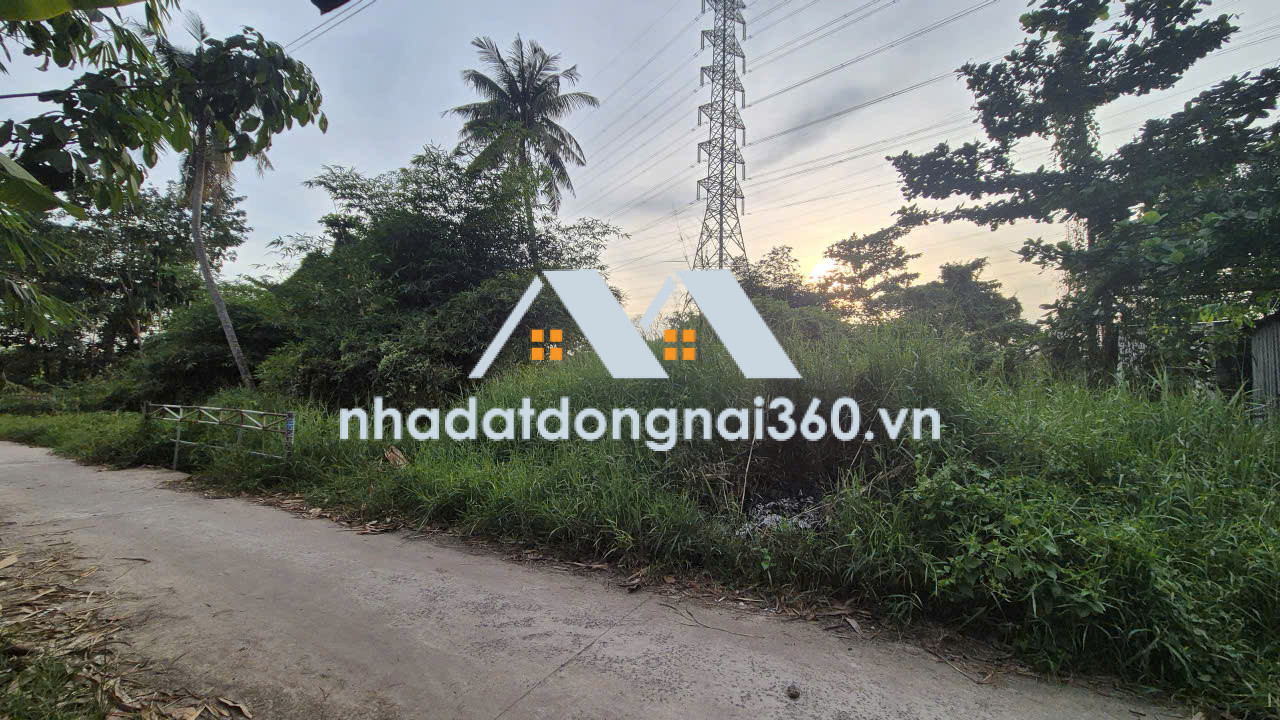 Bán lô đất 581m2 tại An Phước Long Thành Đồng Nai giá chỉ 3 tỷ