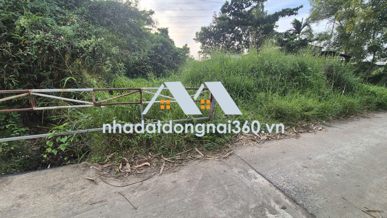 Bán đất tại Xã An Phước, Long Thành Đồng Nai giá 3 tỷ