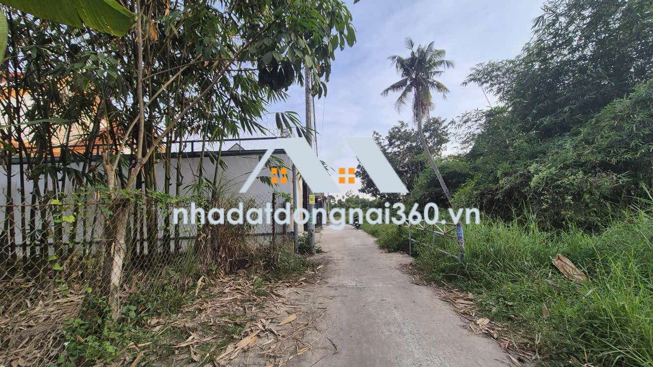 Bán đất tại Xã An Phước, Long Thành Đồng Nai giá 3 tỷ