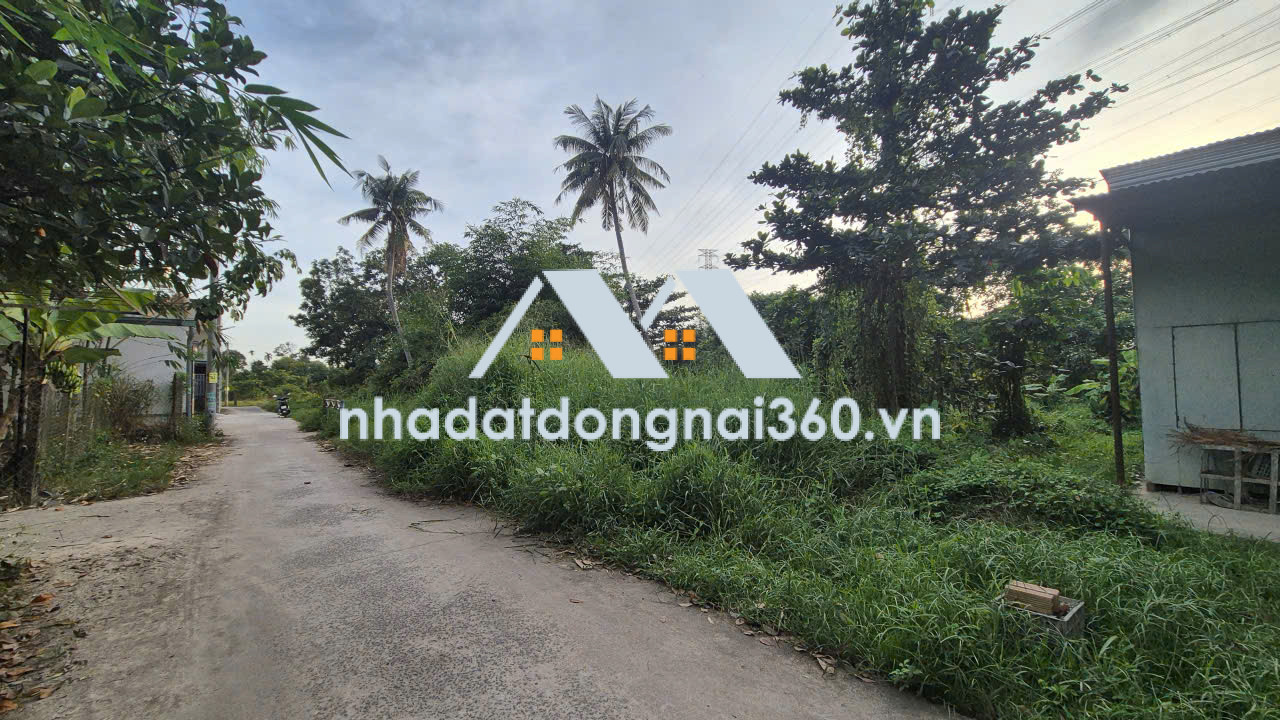 Bán đất tại Xã An Phước, Long Thành Đồng Nai giá 3 tỷ