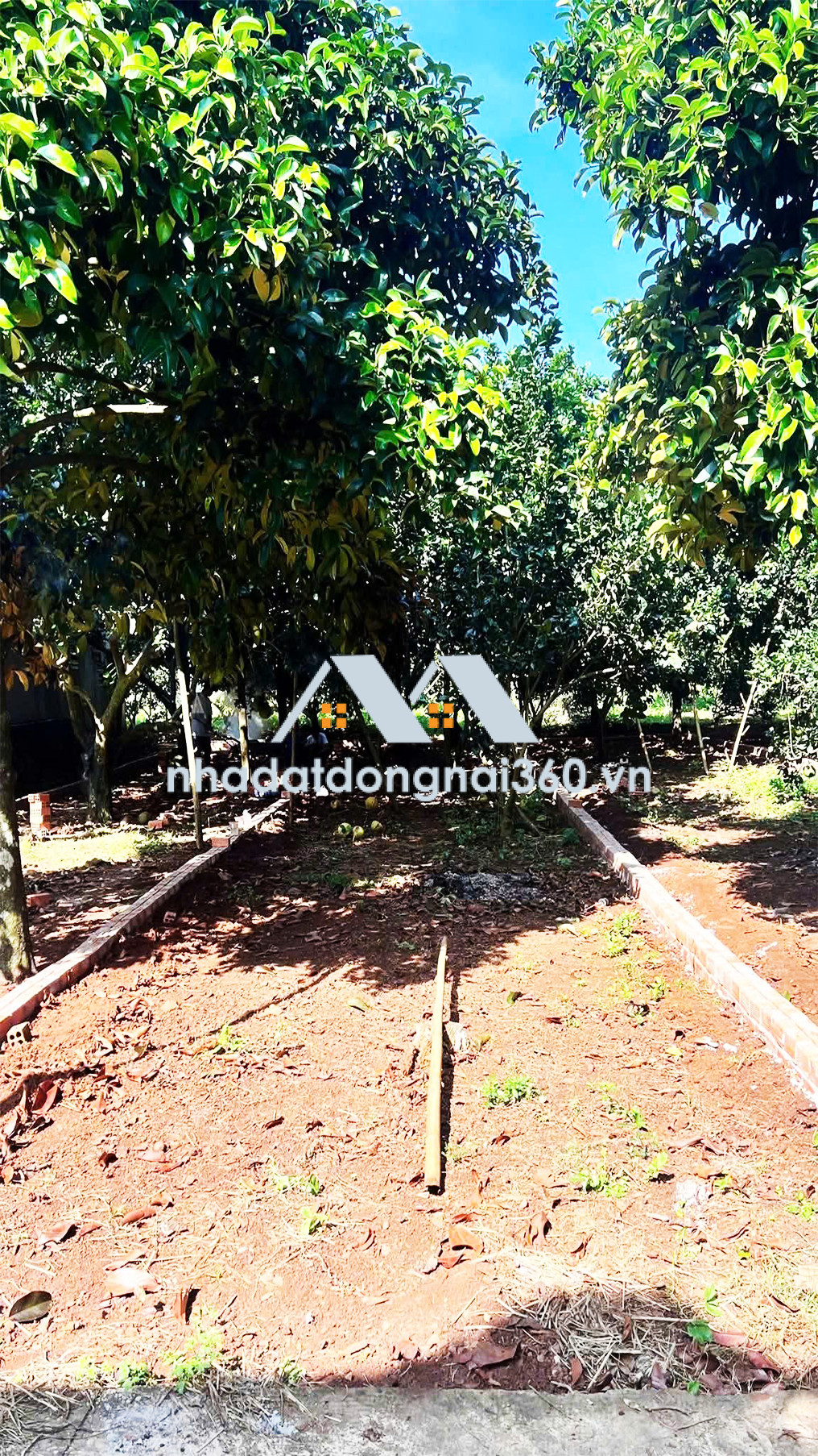 Đất thổ cư ngay KCN Long Khánh, Giá chỉ 7tr/ m2 Đầu Tư Ngay Đón Đầu Tăng Trưởng!