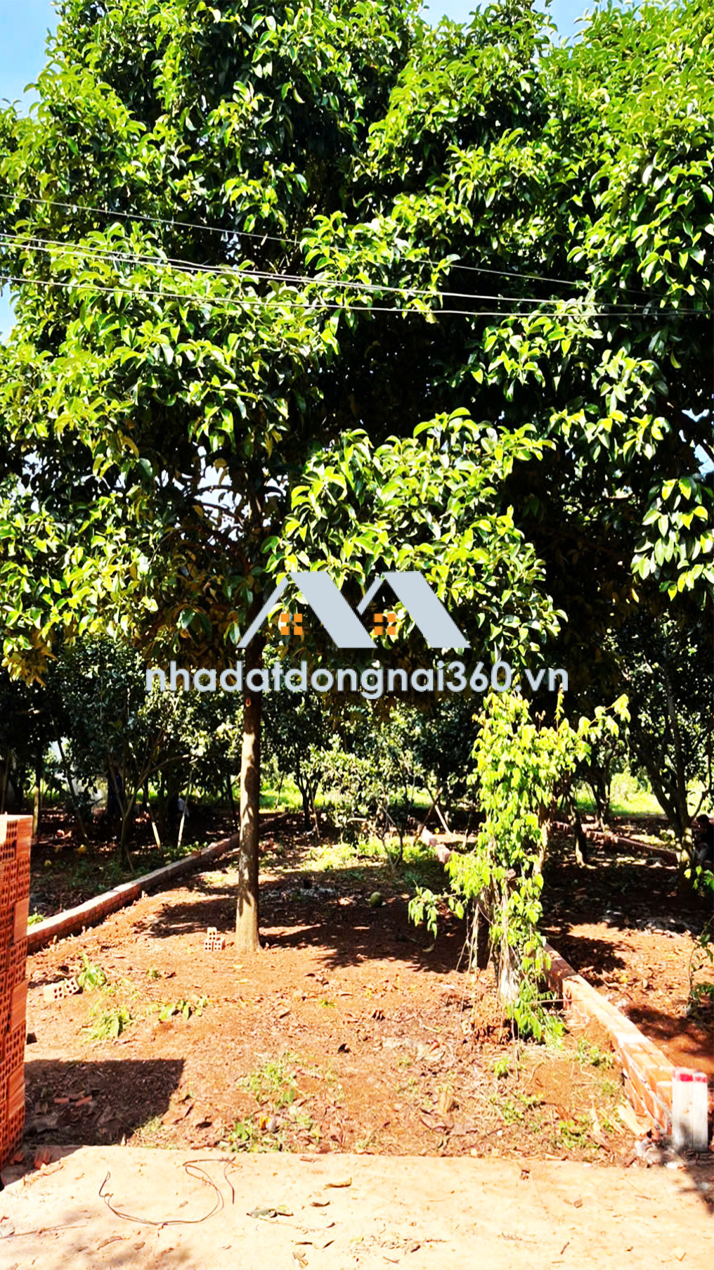 Đất thổ cư ngay KCN Long Khánh, Giá chỉ 7tr/ m2 Đầu Tư Ngay Đón Đầu Tăng Trưởng!