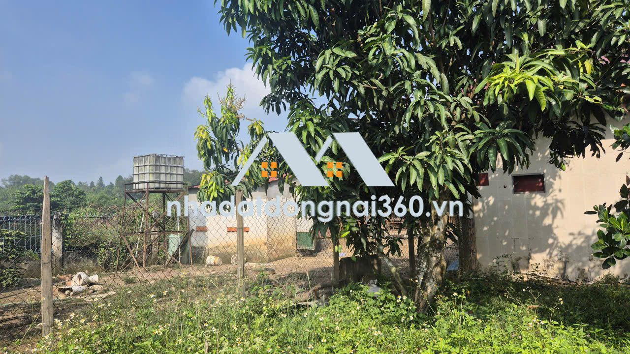 Bán đất Phường Long Bình Tân diện tích 1ha giá chỉ 30 tỷ