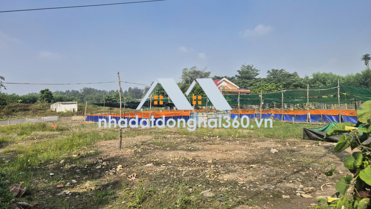 Bán đất Phường Long Bình Tân diện tích 1ha giá chỉ 30 tỷ