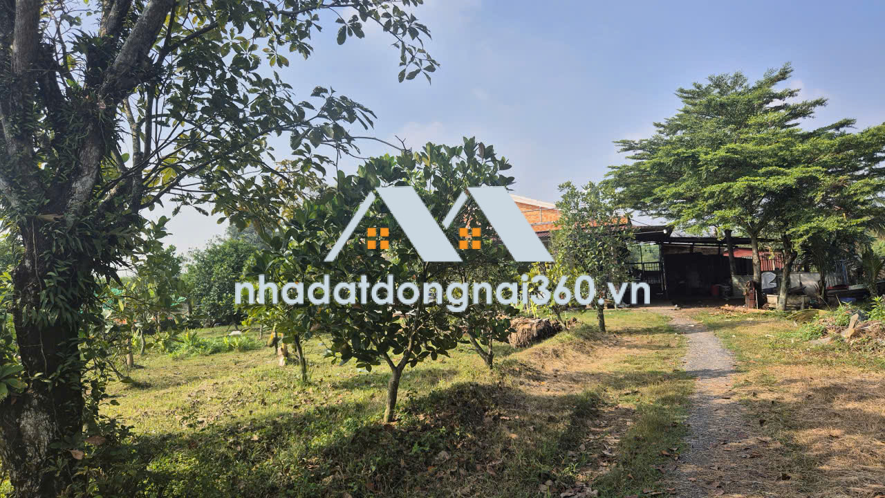 Bán đất Phường Long Bình Tân diện tích 1ha giá chỉ 30 tỷ