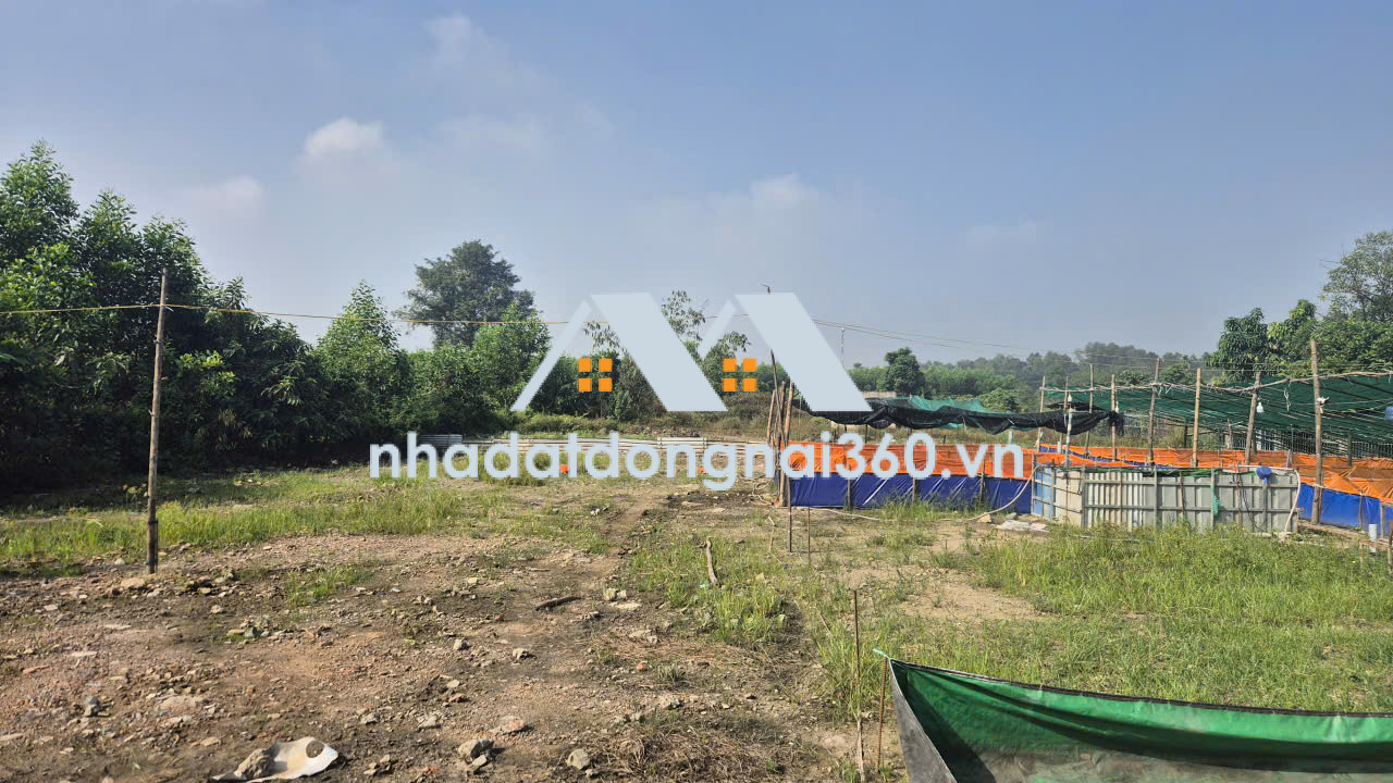 Bán đất Phường Long Bình Tân diện tích 1ha giá chỉ 30 tỷ